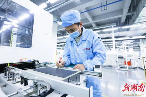 長沙市望城區念好產業發展 拼 字訣